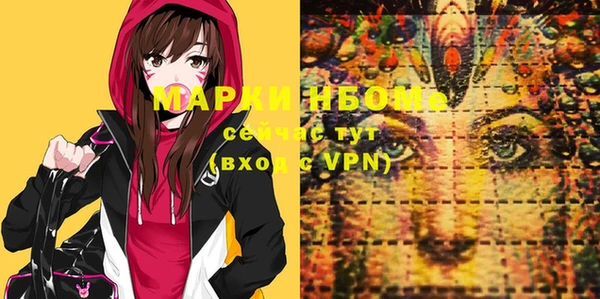 хмурый Богородицк