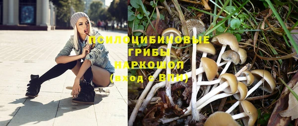 a pvp Надым