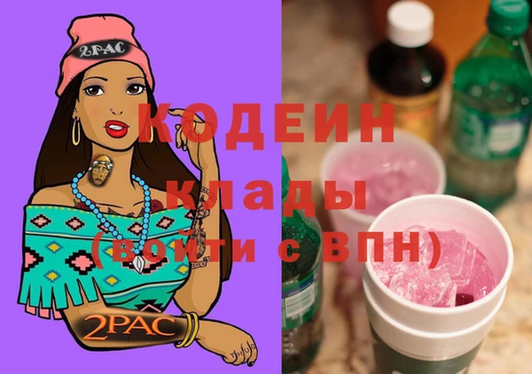 мдпв Богородск